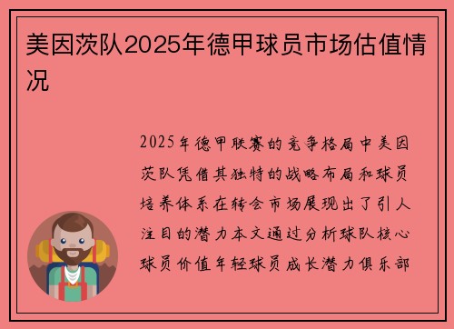 美因茨队2025年德甲球员市场估值情况